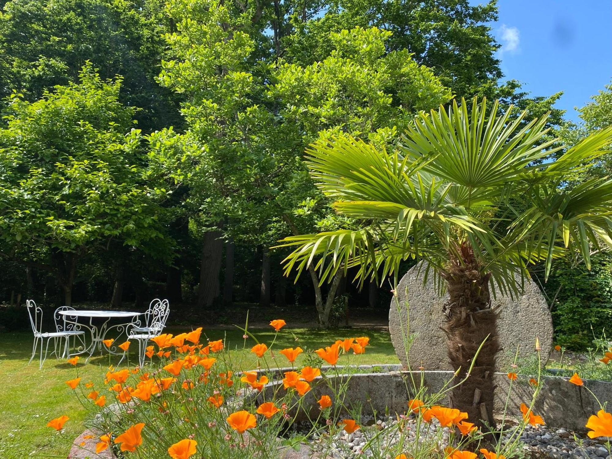 Manoir Du Parc (Adults Only) Hotel Amboise Ngoại thất bức ảnh