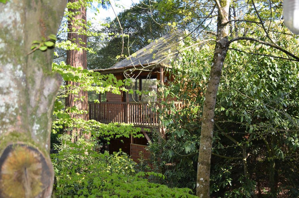Manoir Du Parc (Adults Only) Hotel Amboise Ngoại thất bức ảnh