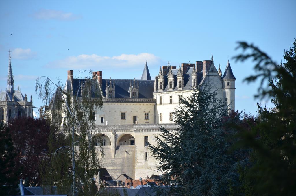 Manoir Du Parc (Adults Only) Hotel Amboise Ngoại thất bức ảnh