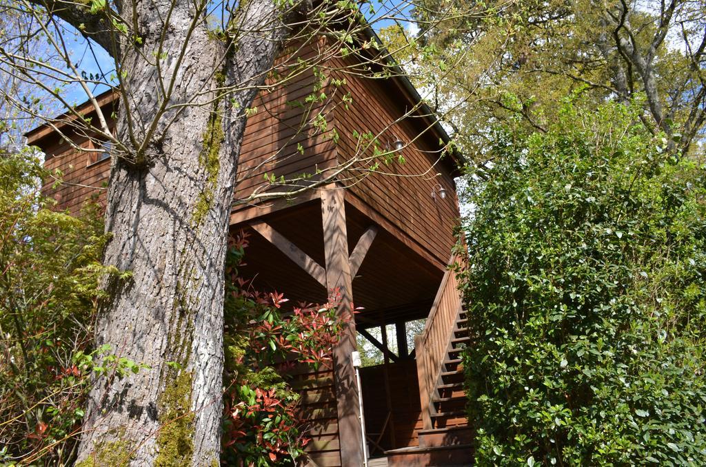 Manoir Du Parc (Adults Only) Hotel Amboise Ngoại thất bức ảnh