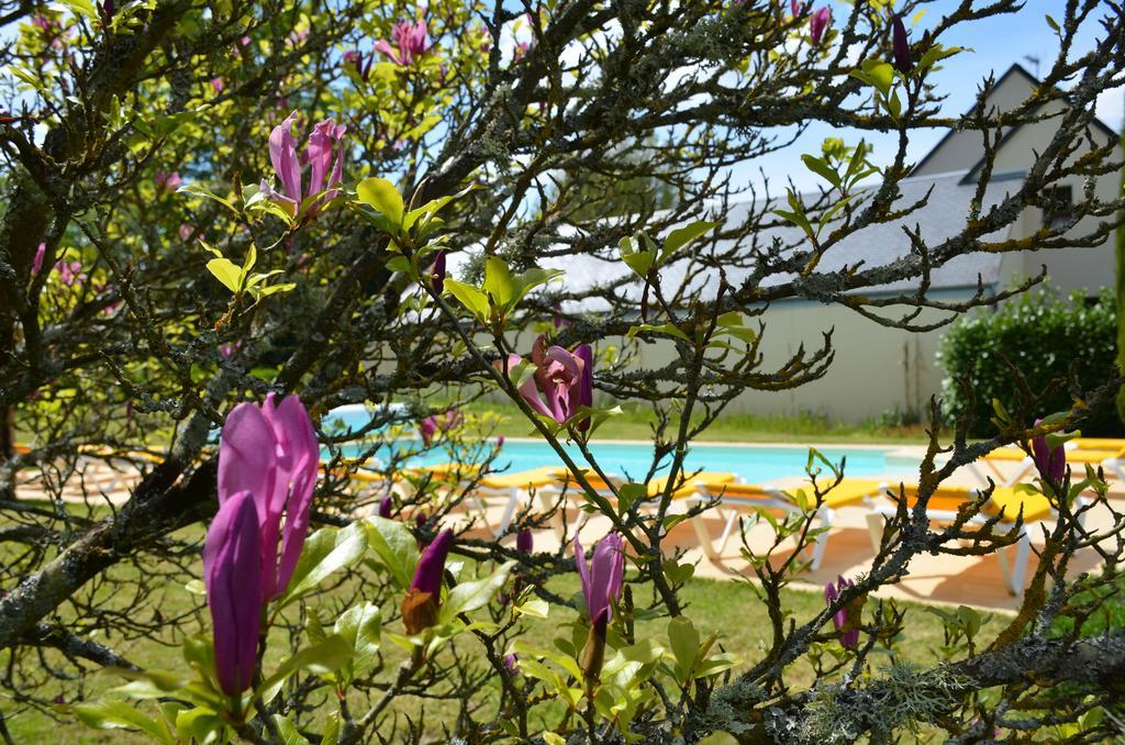 Manoir Du Parc (Adults Only) Hotel Amboise Ngoại thất bức ảnh
